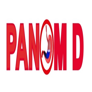 Panom D Device mark 6382658 Trademark
