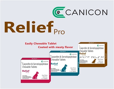 Relief Pro Device mark 6391802 Trademark