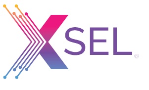 Xsel Device mark 6393527 Trademark