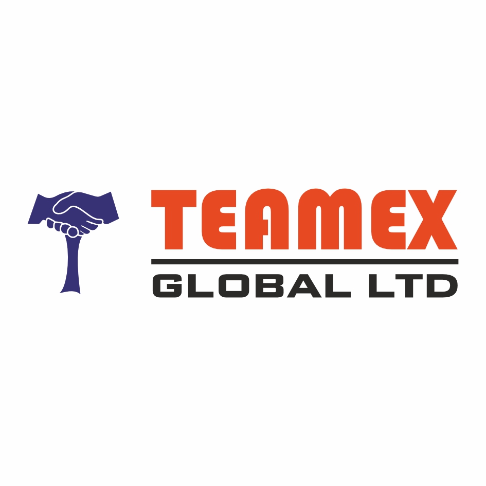Teamex Global Limited Device mark 6394860 Trademark