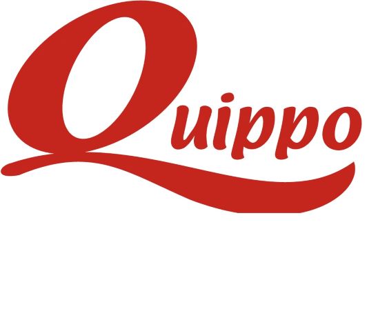 Quippo Device mark 6396644 Trademark