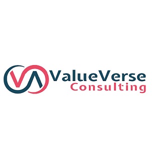 Valueverse Consulting Device mark 6402708 Trademark