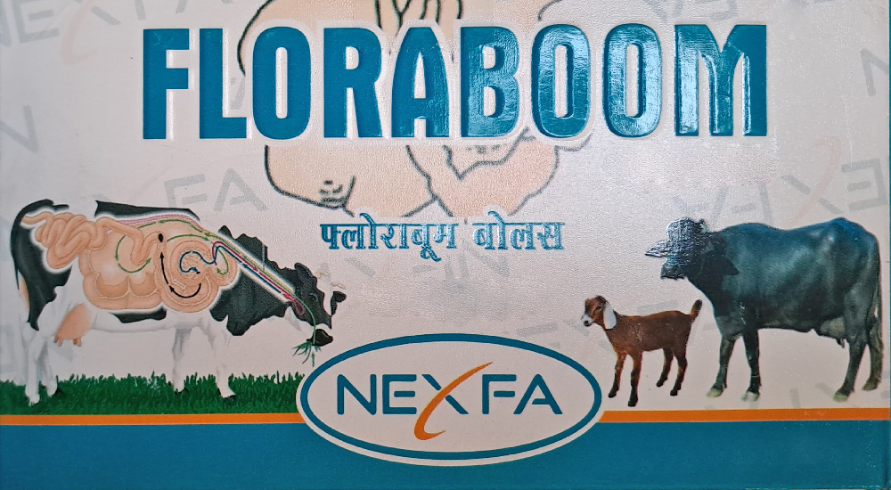 Floraboom (with Device) Device mark 6414639 Trademark