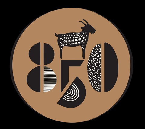 850 Device mark 6415072 Trademark