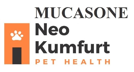 Mucasone With Device Of Neo Kumfurt Device mark 6417866 Trademark