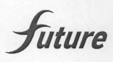 Future Device mark 2916072 Trademark
