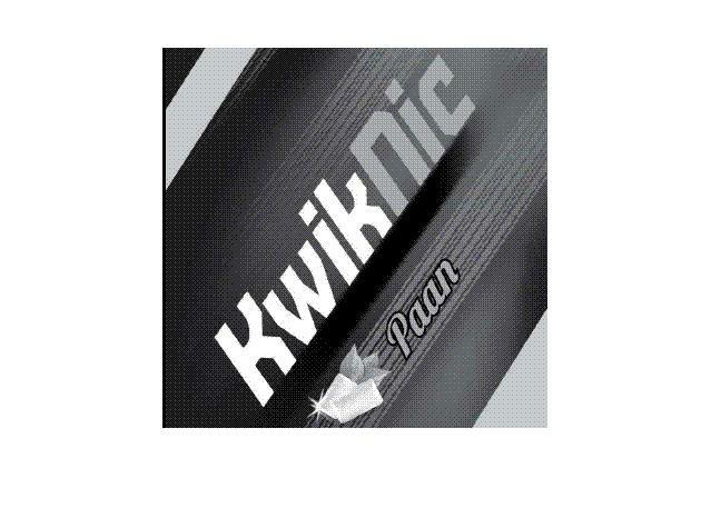 Kwiknic Paan Device mark 2596079 Trademark