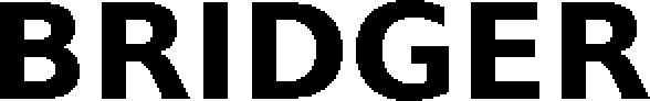 Bridger Device mark 6069475 Trademark