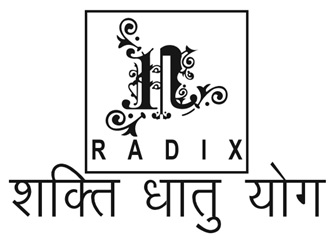 Radix Shakti Dhaatu Yog Device mark 6423167 Trademark