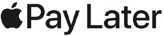 Pay Later Device mark 5650991 Trademark