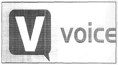Voice Device mark 2959699 Trademark