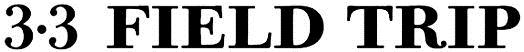 3.3 Field Trip Device mark 3163259 Trademark