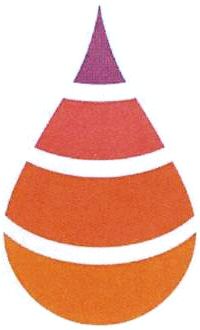 No Verbal Element Device mark 2972796 Trademark