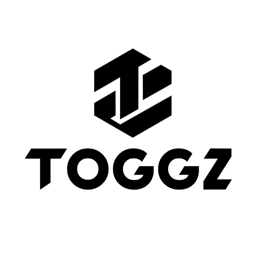 Device Of Toggz Device mark 6447289 Trademark