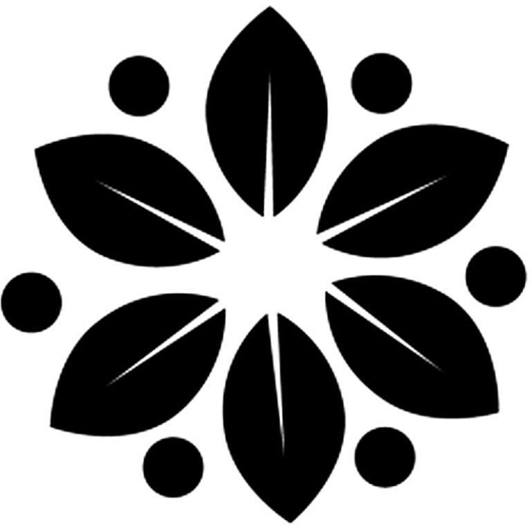 Device Device mark 4588930 Trademark