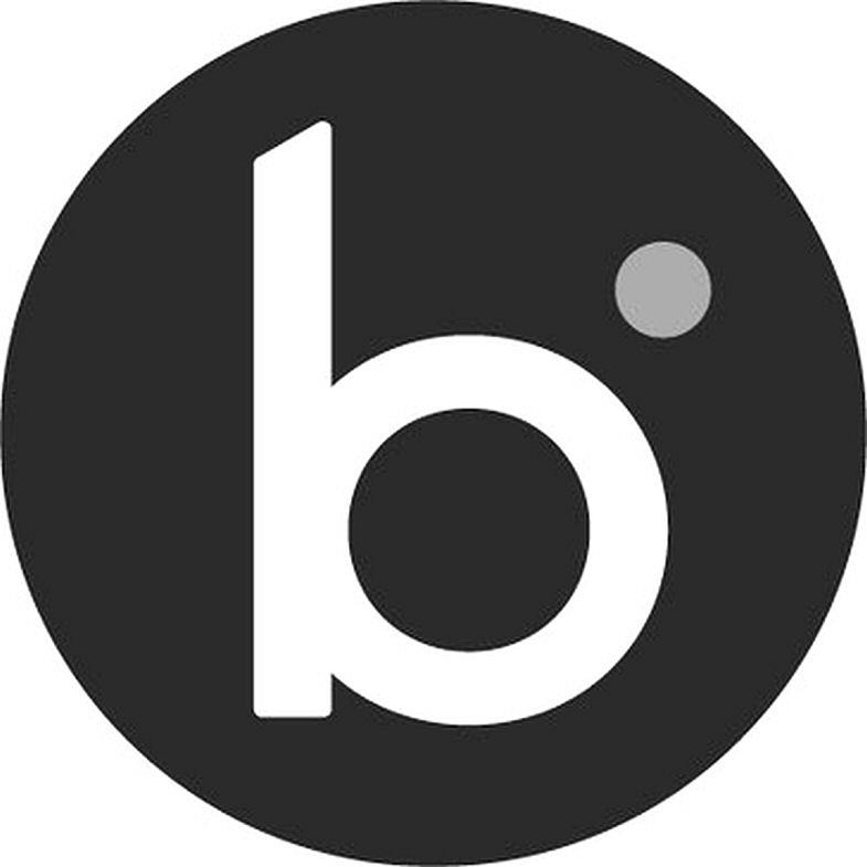 B Device mark 4553439 Trademark