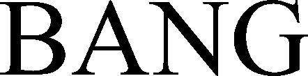 Bang Device mark 4522831 Trademark