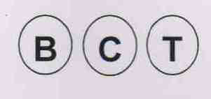 Bct Device mark 2302398 Trademark