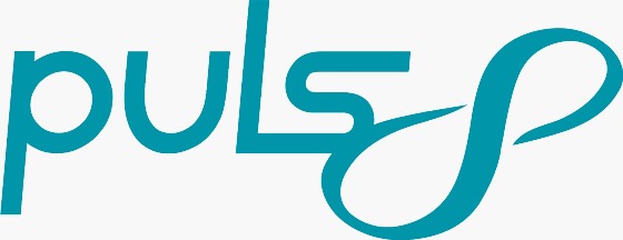 Puls8 Device mark 6458333 Trademark