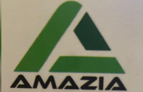 Amazia Device mark 6459354 Trademark