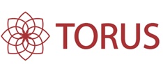 Torus Device mark 6461872 Trademark