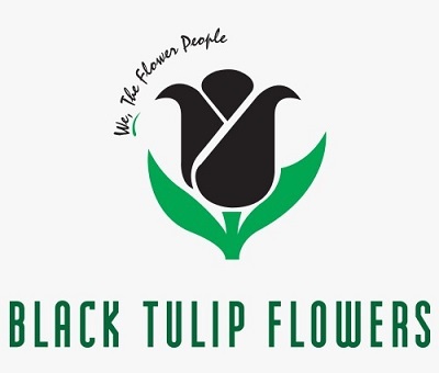 Black Tulip Flowers Device mark 6464687 Trademark