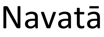 Navata Device mark 6466001 Trademark