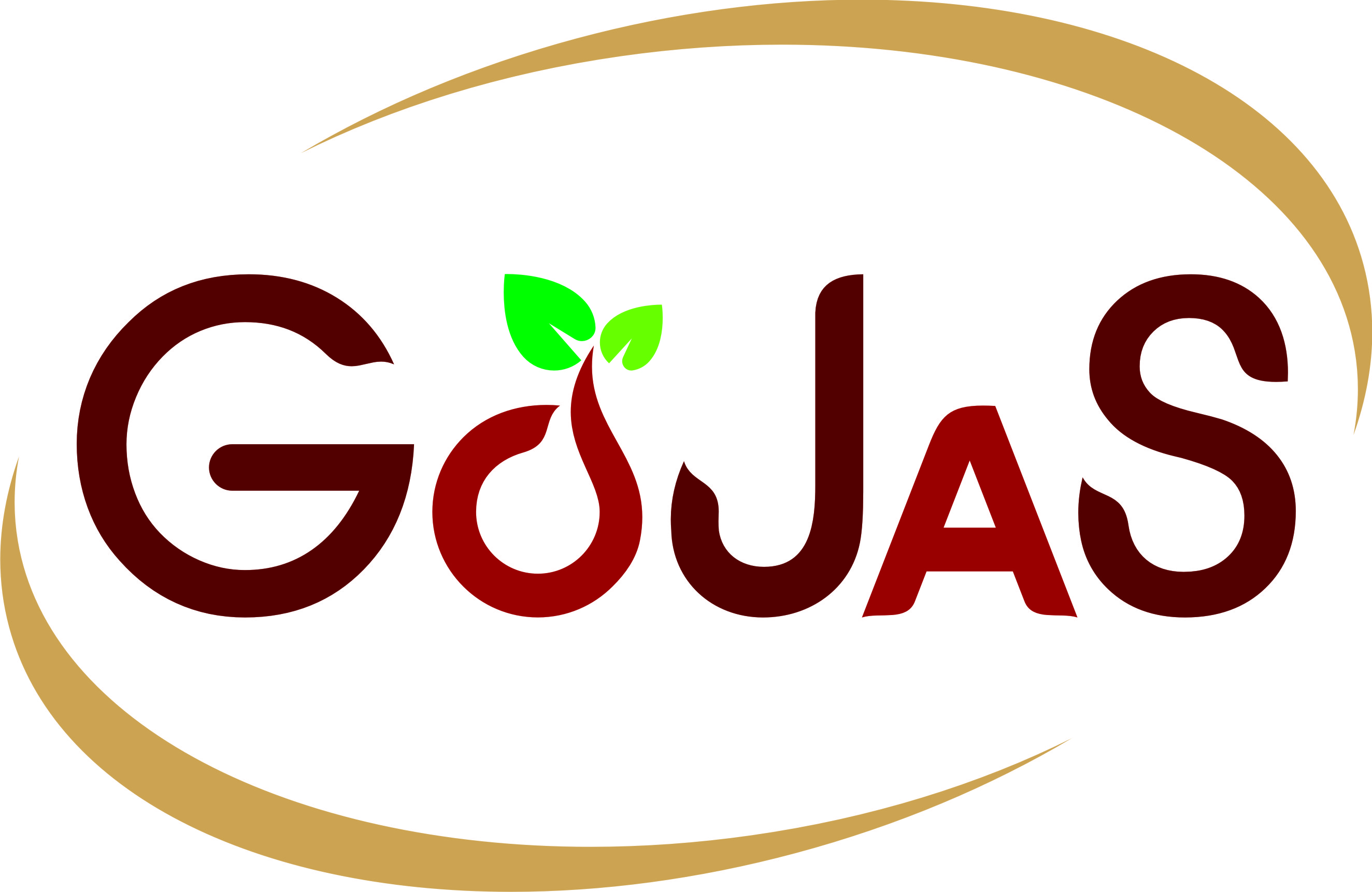 Gojas Device mark 6479172 Trademark