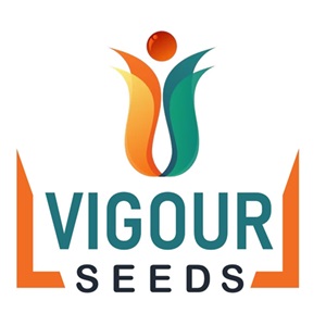 Vigour Seeds Device mark 6477381 Trademark