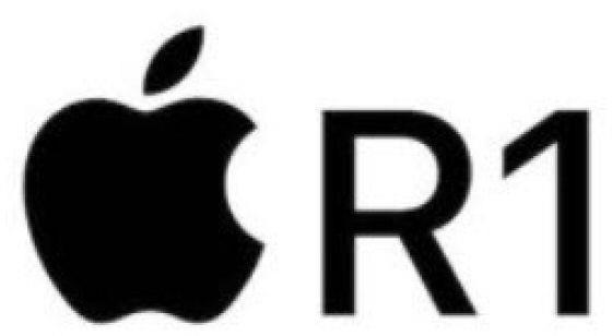 R1 Device mark 6233909 Trademark