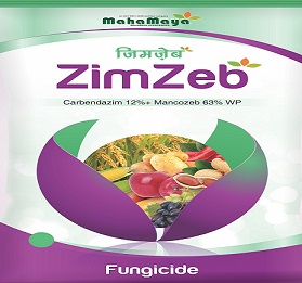 Zimzeb Device mark 6480121 Trademark