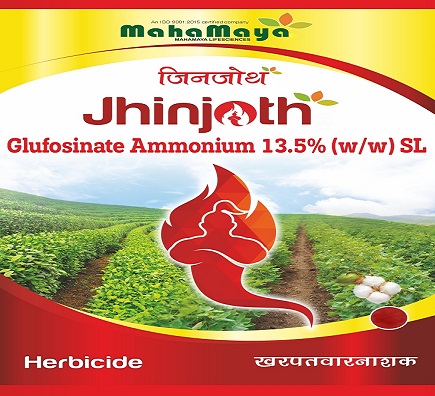 Jhinjoth Device mark 6480126 Trademark