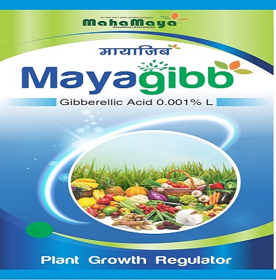 Mayagibb Sl Device mark 6480146 Trademark