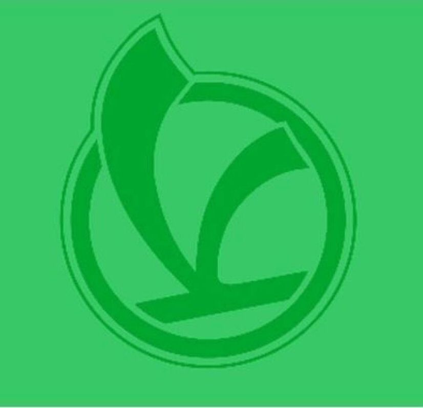 V Device mark 6481889 Trademark