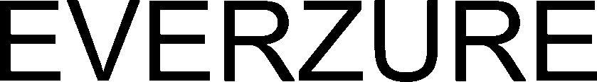 Everzure Device mark 6169696 Trademark