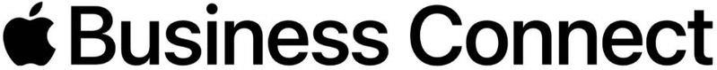 Business Connect Device mark 6168200 Trademark