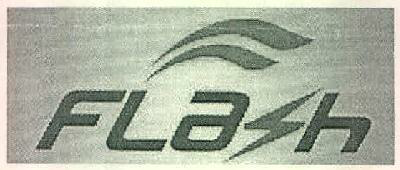 Flash Device mark 2999404 Trademark