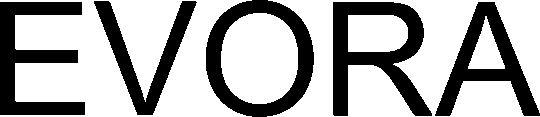 Evora Device mark 6137881 Trademark