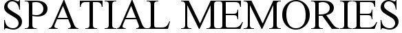 Spatial Memories Device mark 6038185 Trademark