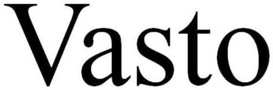 Vasto Device mark 6036839 Trademark