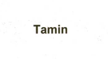 Tamin Device mark 2034579 Trademark