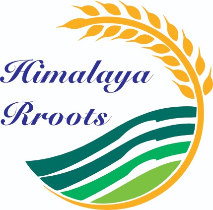 Himalya Roots Device mark 6485944 Trademark