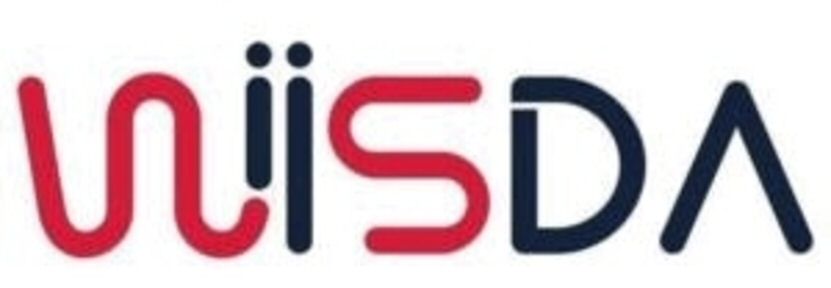 Wiisda Device mark 6486361 Trademark