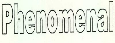 Phenomenal Device mark 2287238 Trademark