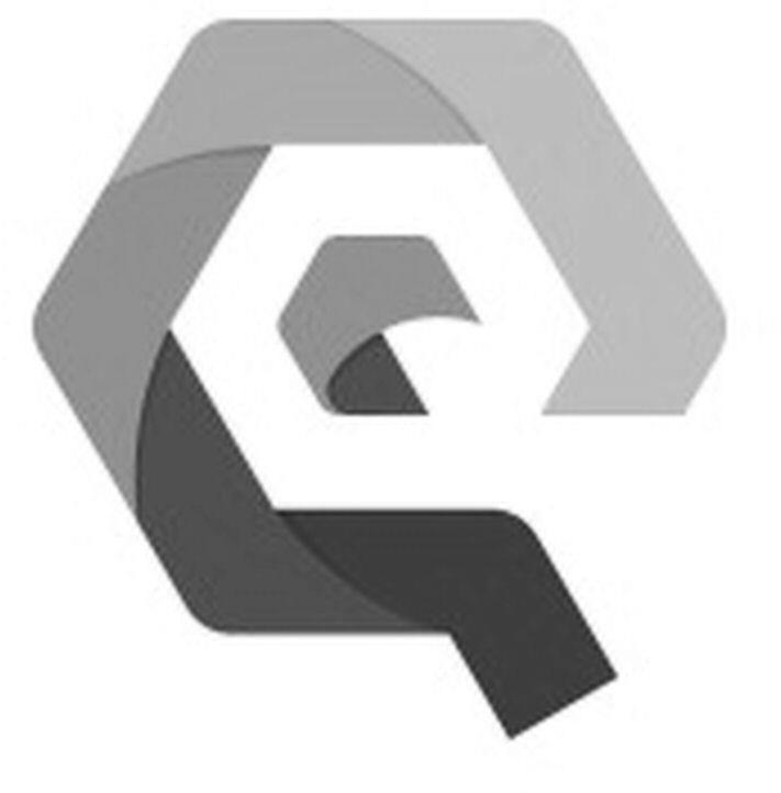 Q Device mark 5975403 Trademark