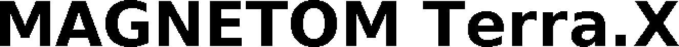 Magnetom Terra.x Device mark 5971842 Trademark