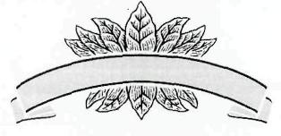 Device Of Leafs Device mark 2553505 Trademark