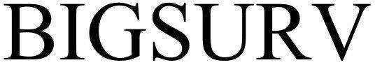 Bigsurv Device mark 5899427 Trademark
