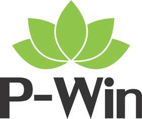 P-win Device mark 6491041 Trademark