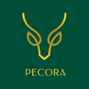 Pecora Device mark 6490494 Trademark